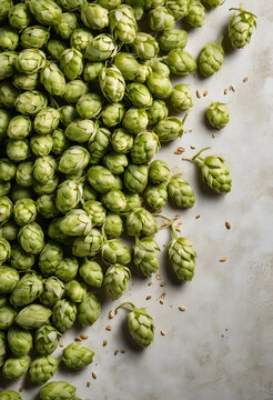 Fresh green hop cones and barley grains on a textured light background, brewing ingredients and craft beer production, These ingredients are essential for brewing beer