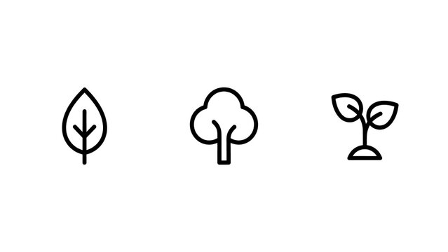 Minimalist line art trio of leaf tree and sprout with single leaf on transparent background