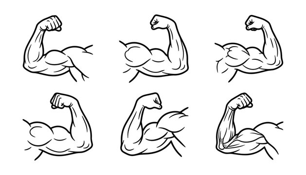 Muscular bodybuilder arm collection showing strong flexed biceps power anatomy line icons for fitness gym branding