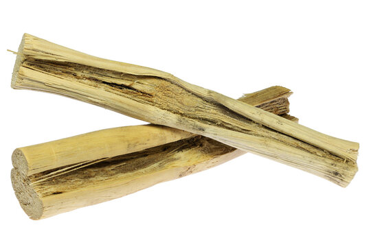 dried sugarcane stalks isolated on white background