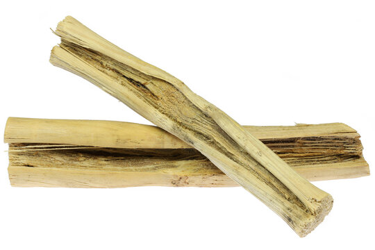 dried sugarcane stalks isolated on white background