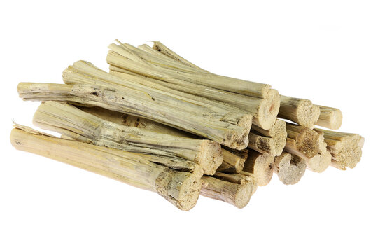 dried sugarcane stalks isolated on white background