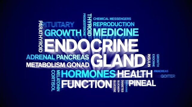Endocrine Gland animated word cloud-animation tag kinetic typography seamless loop.