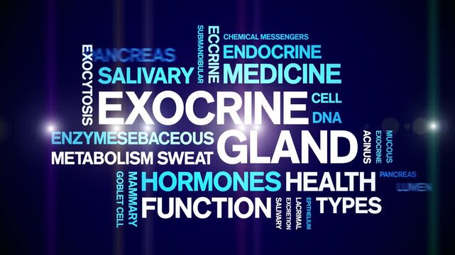 Exocrine Gland animated word cloud-animation tag kinetic typography seamless loop.