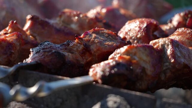Charred pork chunks sizzle on metal skewers. Smoke curls upward from hot coals below. Steam rises from glistening meat surface. Perfect for food advertising or outdoor cooking tutorials