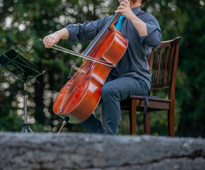 Violin and Cello Duet in Nature © pierluigipalazzi