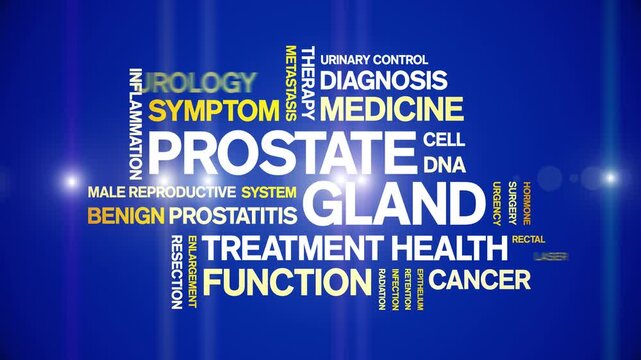 Prostate Gland animated word cloud-animation tag kinetic typography seamless loop.