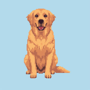 Golden retriever dog pixel art illustration cute sitting alone potrait elegant
