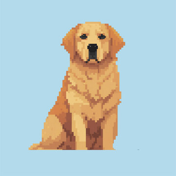Golden retriever dog pixel art illustration cute sitting alone potrait elegant