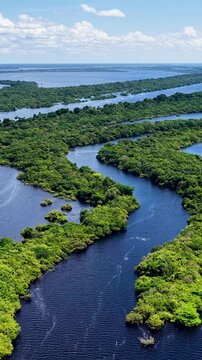 Amazon Rainforest At Novo Airao In Amazonas Brazil. Anavilhanas National Park. Beauty In Nature Landscape. Amazon Rainforest. Amazon Rainforest In Novo Airao In Amazonas Brazil. Wildlife Skyline.