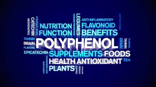Polyphenol animated word cloud-animation tag kinetic typography seamless loop.