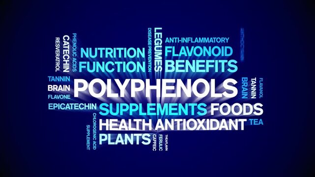 Polyphenols animated word cloud-animation tag kinetic typography seamless loop.