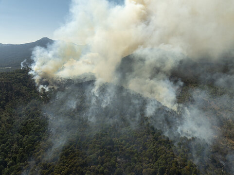 Aerial view of the Uruapan wildfire spreading through the dense forest, with thick plumes of smoke rising above the trees in Uruapan, Michoacan, Mexico.