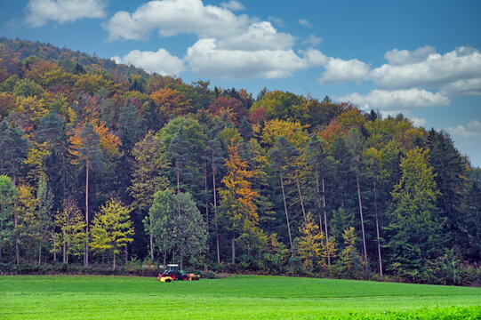 Modern tractor mowing green grass for hay production next to a colorful autumn forest in Lower Austria