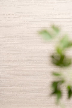 Decorative Plaster Wall Texture with Horizontal Stripes and Blurred Green Plant in Warm Beige