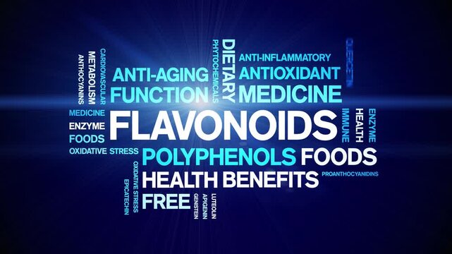 Flavonoids animated word cloud-animation tag kinetic typography seamless loop.
