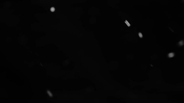 White snow isolated on black background, natural and real, winter nature, using for overlay effect