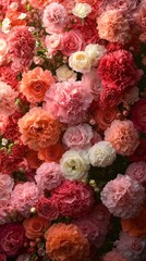 Obraz premium lush romantic close-up of mixed roses and carnations in shades of pink coral peach and cream with soft glowing light and delicate layered petals