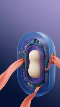 3D model of genetic material inside a cell illustrating biological science concepts