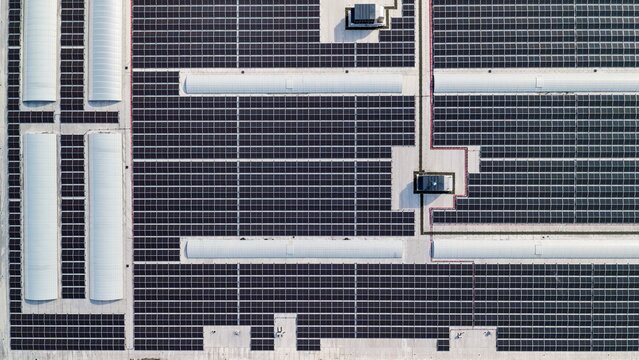 Aerial view of a large solar panel array covering a rooftop with integrated greenhouse structures in Den Hoorn, South Holland, Netherlands.