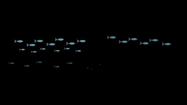 Blue fish swimming in organized schools across a deep dark void in this animated video