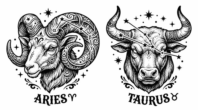 Detailed aries and taurus zodiac tatoo designs with intricate line art and celestial accents