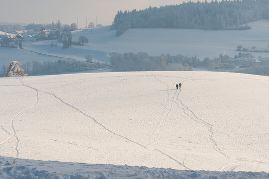 Two people sledging across a freshly snow-covered hillside on Gurten near Bern, Switzerland, with rural fields and forest in winter.