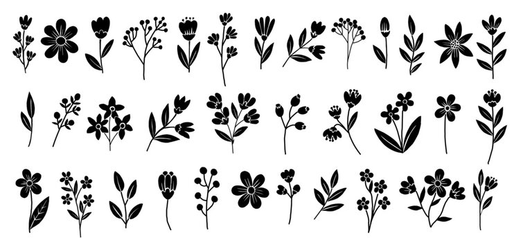 Black floral silhouettes form an elegant, nature-inspired collection. Each flower varies in shape and size, from dainty blossoms to bold blooms. Petals and stems curve gracefully, creating delicate
