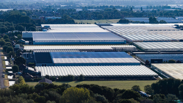 Aerial view of large agricultural greenhouses with glass roofs and surrounding fields in Delft, South Holland, Netherlands.