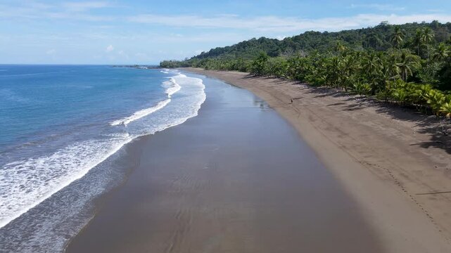 Aerial Drone Flight Over a Pacific Coast Beach with Horse Rider. Wide, remote beach surrounded by palm trees and lush tropical vegetation on the Osa Peninsula near Drake Bay,  Costa Rica