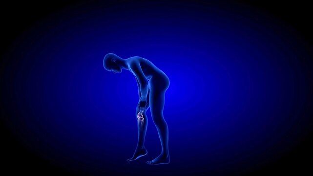Human Leg Anatomy with Pain Highlight 3D Illustration | Muscle Bone Nerve and Joint Medical Concept