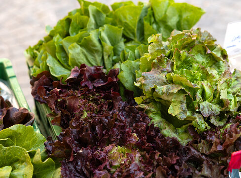 Close-up fresh lettuce in crate on market stall. Salad, raw foods, vegetables, harvest, produce, agriculture, healthy eating.