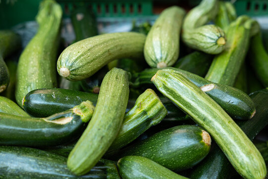 Close-up shot of ripe zucchini in a crate at a market stall. Raw food, vegetables, harvest, produce, agriculture, healthy eating.