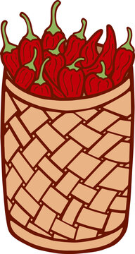 Fresh Red Chili Peppers in Woven Basket Vector