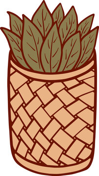 Dried Bay Leaves in Woven Basket Vector