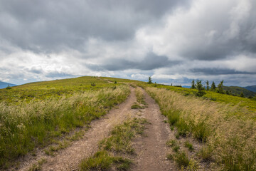 Fototapeta premium Moody landscape of a dirt path winding through tall grass toward distant mountains under gray clouds