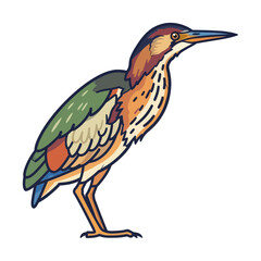 Naklejka premium Colorful Bittern Bird Illustration Isolated on Transparent Background