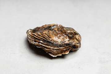 Layered Brown Closed Oyster Shell Detail © Belashova