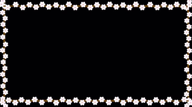 Growing cherry blossom flower frame animation on transparent background