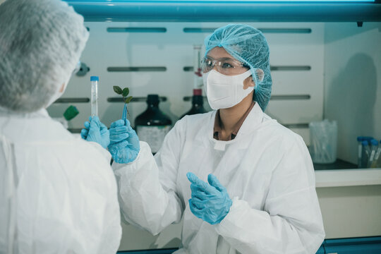 Scientists Examining Plant Sample in Test Tube During Lab Research Experiment with Protective Equipment