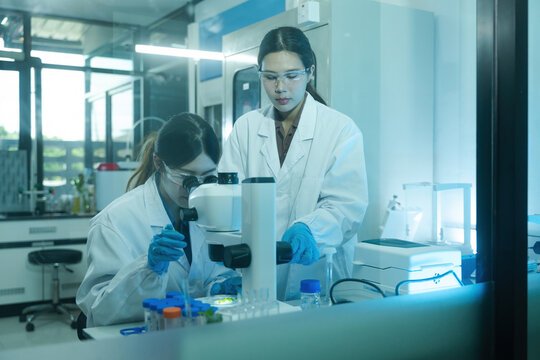 Two Female Asian Scientists Conducting Research Experiment with Microscope and Lab Components in Modern Laboratory