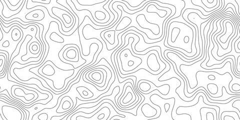 Modern abstract topographic line art background, geographic mapping lines with smooth organic curves, for presentation, cover and web banner. © hossain