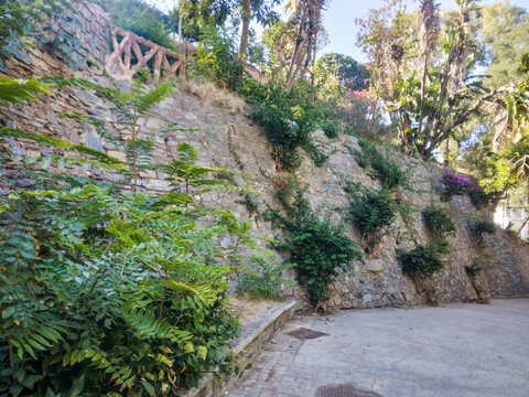 Ancient stone retaining wall covered with lush green foliage and vibrant blooming flowers along a curved paved pathway under bright natural sunlight during a summer