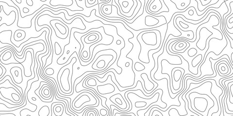 Minimal abstract contour line map background, geographic mapping lines with smooth organic curves, for banner, presentation and cover. © RASEL
