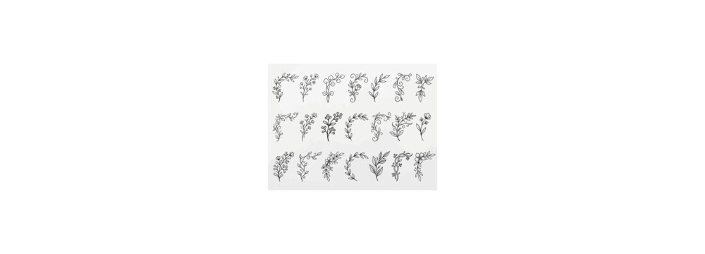 Collection of delicate black floral elements and botanical arrangements for design