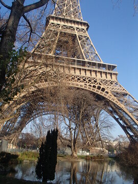 Eiffel Tower structure seen through bare trees with a pond in the foreground