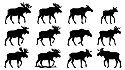 Fototapeta premium Moose Silhouettes Set, Various Poses and Stances, Vector Illustration. Wildlife Animal Icons, Design Elements