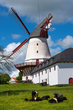 D&uuml;ppeler M&uuml;hle/Dybbol Molle bei Sonderburg/Sonderborg D&auml;nemark