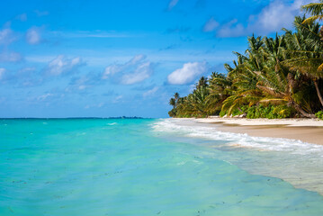 Obraz premium Palm trees line a white sand beach along clear turquoise ocean water under a partly cloudy sky on Dhigurah island in Maldives.