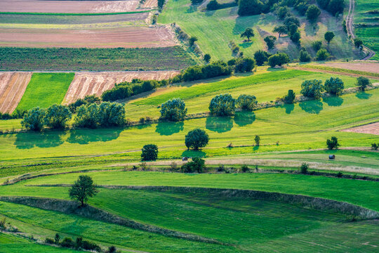 Aerial View of Late Summer Farmland with Harvested Fields and Trees. 